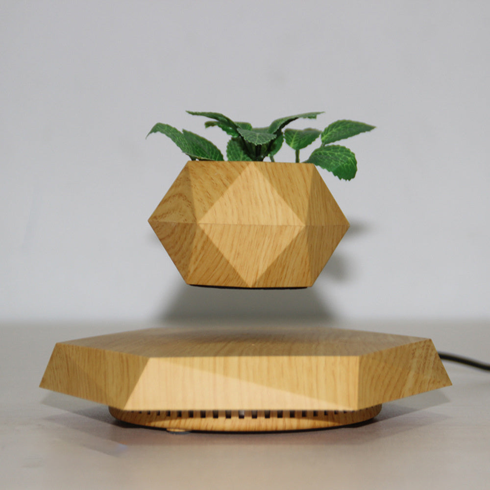 Floating Levitating Flower Pot