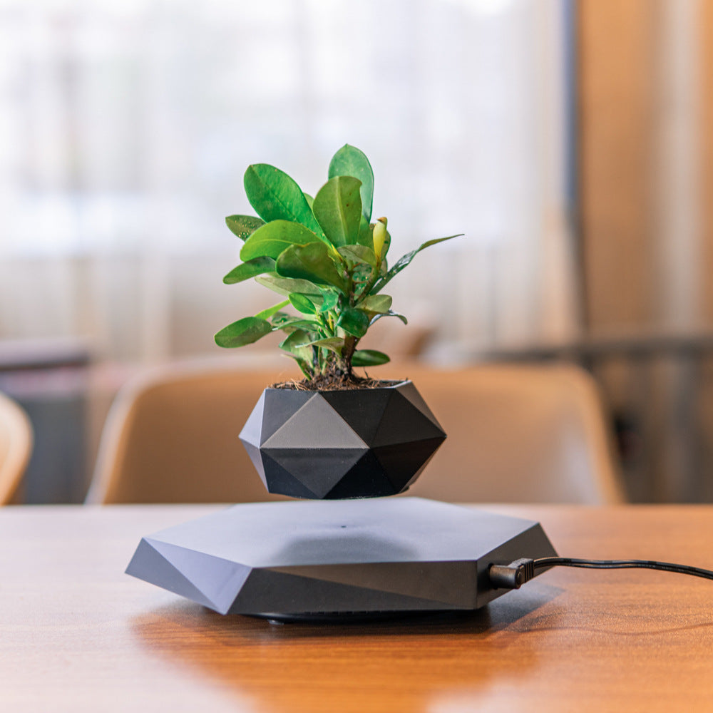 Floating Levitating Flower Pot
