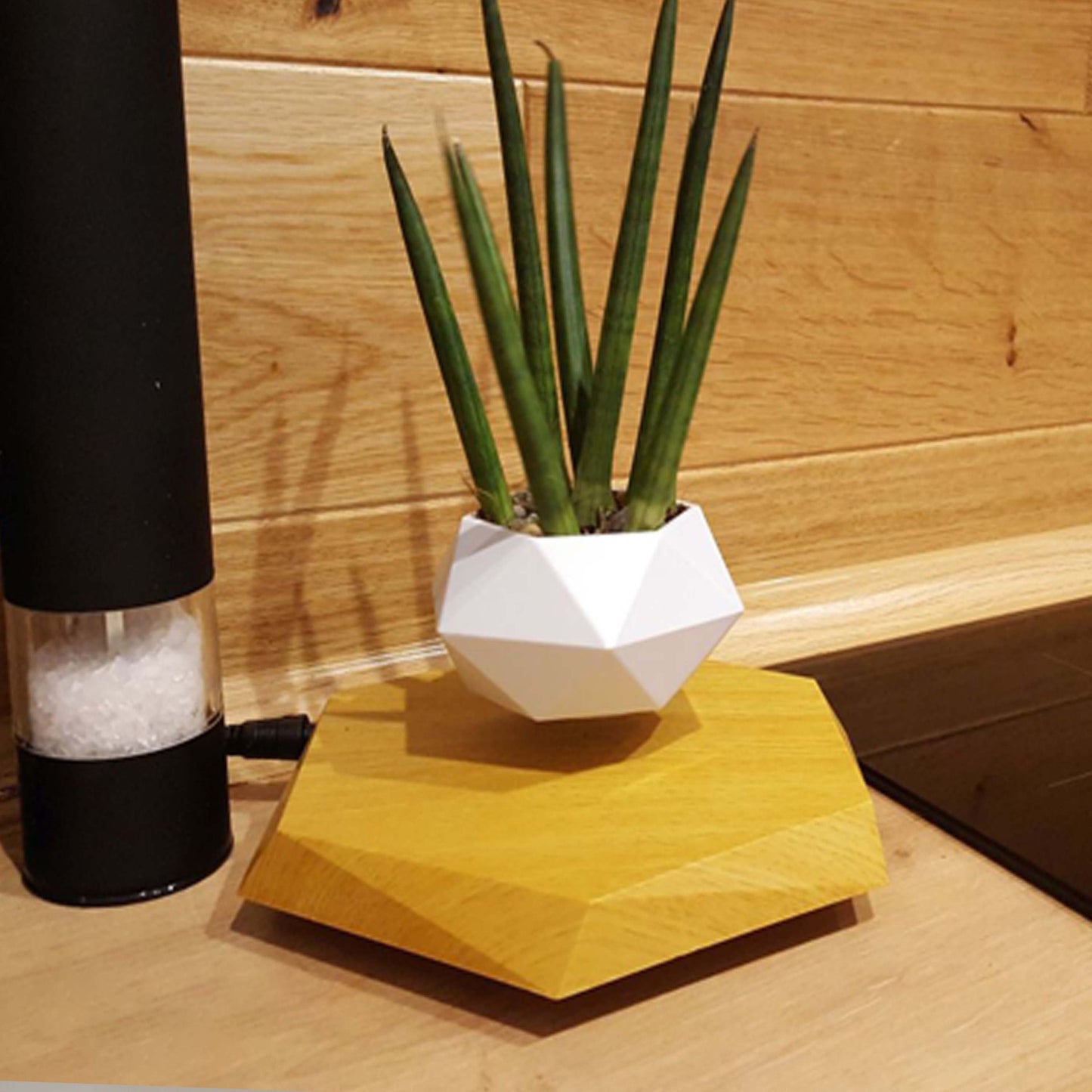 Floating Levitating Flower Pot
