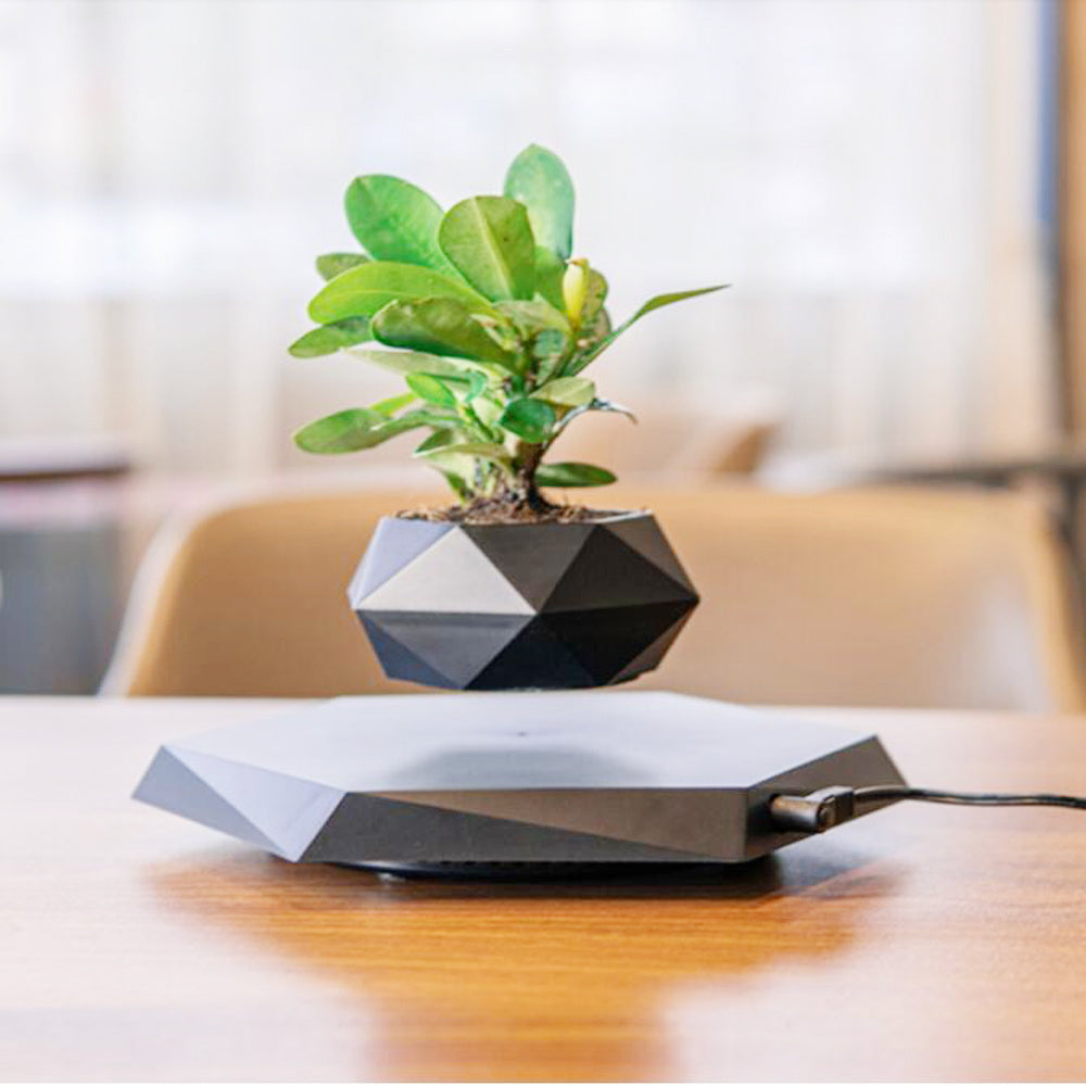 Floating Levitating Flower Pot