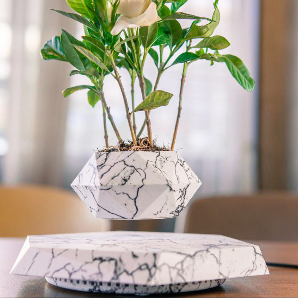 Floating Levitating Flower Pot