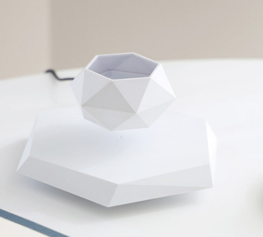 Floating Levitating Flower Pot