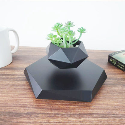 Floating Levitating Flower Pot
